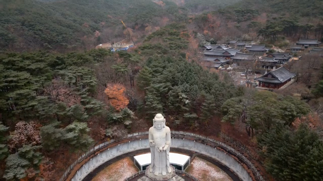 Large Buddha statue in a forested temple