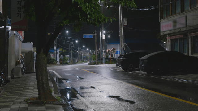 Empty rural road on a quiet rainy night