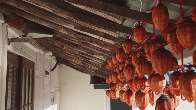 Dried persimmons hanging under a wooden roof