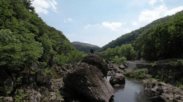 숲을 흐르는 고요한 강