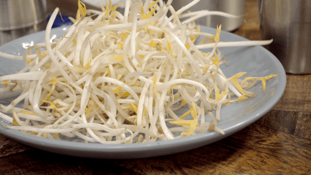 Plate of fresh bean sprouts