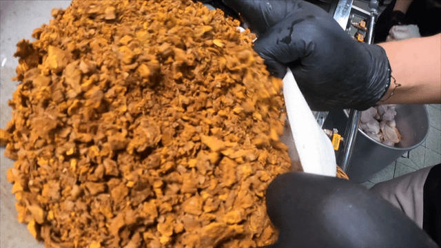 Phellinus linteus mushroom powder poured onto a cotton cloth