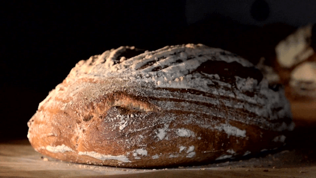 오븐에서 구워진 갈색 사워도우