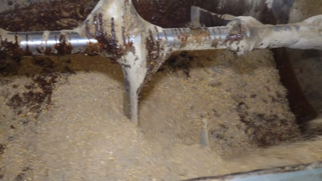 Mixing machine processing grain mixture