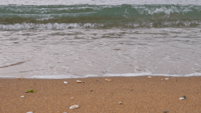 모래사장에 부드럽게 밀려오는 파도