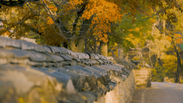 Traditional Korean wall with autumn leaves
