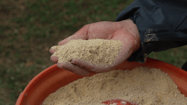 빨간 용기에 가축 사료를 든 손