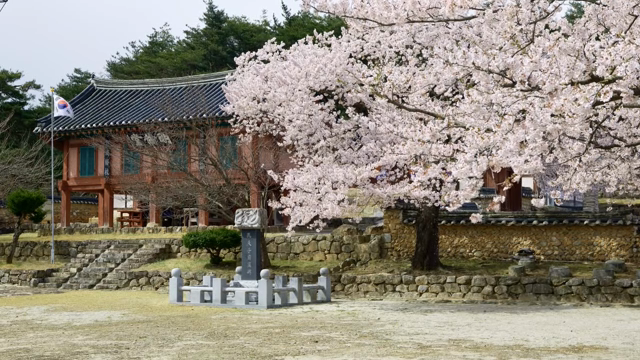 Traditional Hanok building with cherry blossoms in bloom