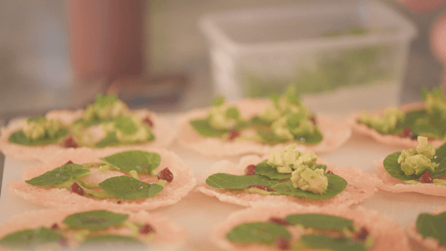 Gourmet dishes topped with delicately placed avocado