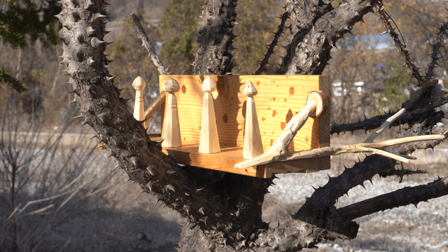 Handcrafted wooden shelf above thorny branches