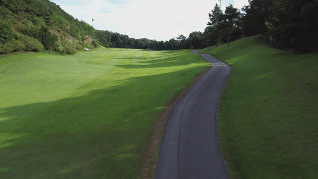 Serene golf course with lush greenery