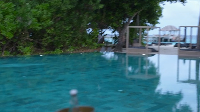 A bird flying over a pool near the beach