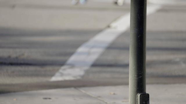 Street sign with a pole and fallen leaves