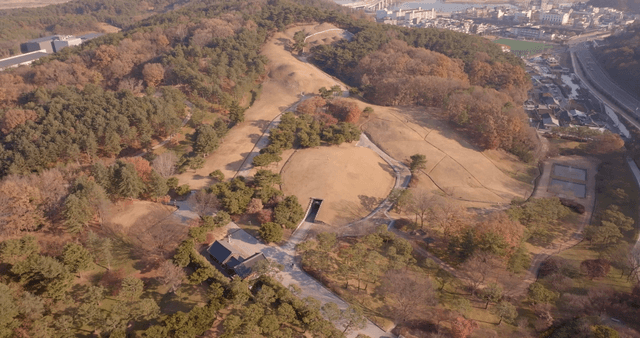Aerial view of a forested ancient tomb