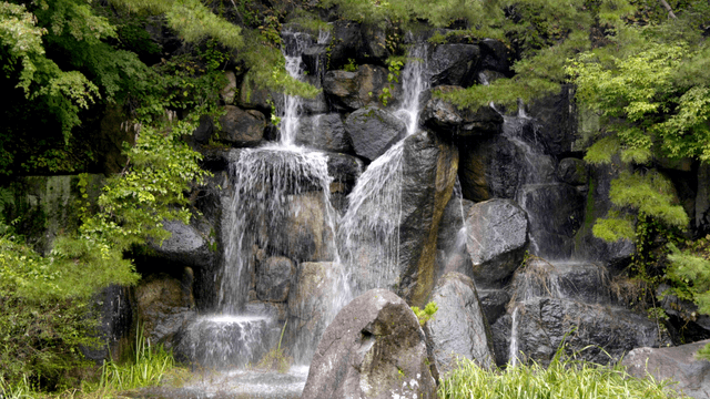 Serene waterfall surrounded by greenery