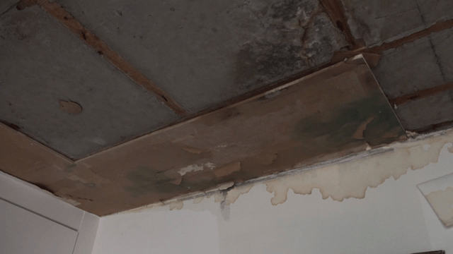 Mold-damaged damp ceiling