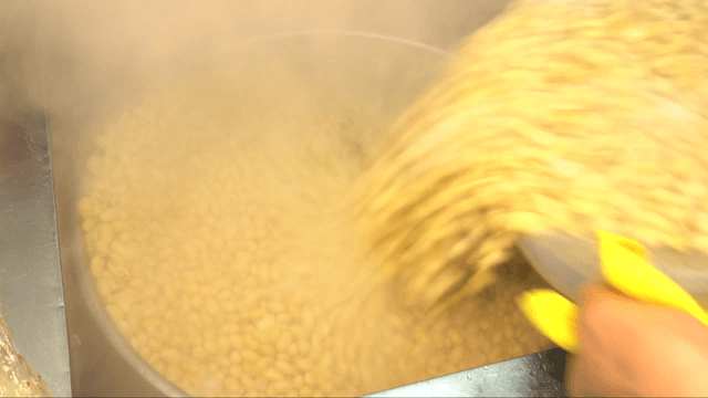 Soybeans being poured into a steaming pot