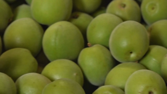 Close-up of fresh green plums
