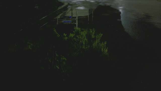 Large rain puddle reflecting trees on a night street