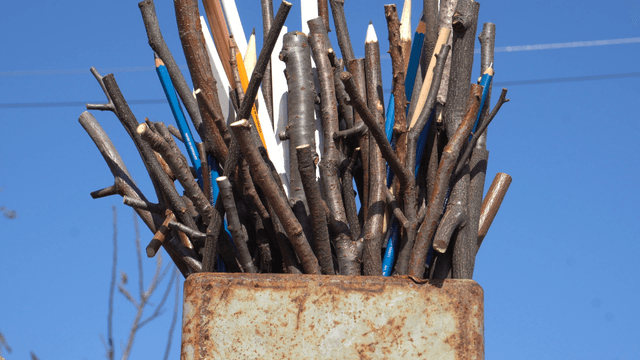 Wooden pencil sculpture on tree branch under clear sky