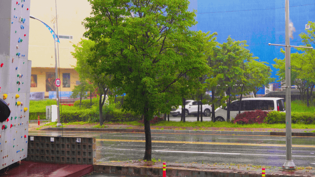Rain falling on trees and an outdoor climbing wall beside a road