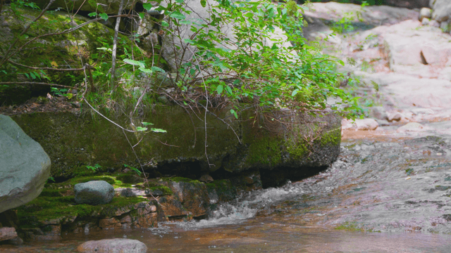 Calm stream flowing between rocks