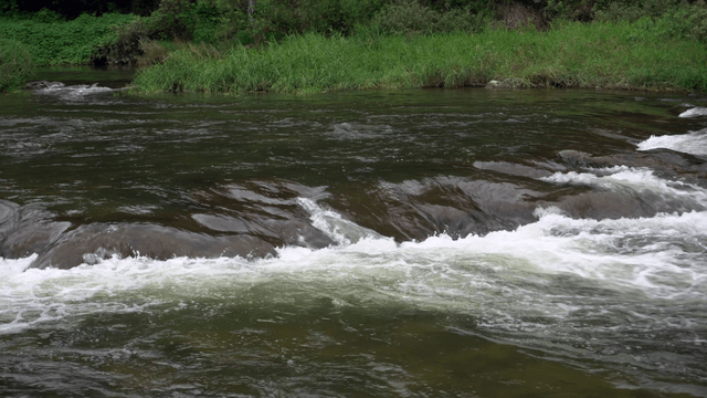 Flowing river with gentle rapids