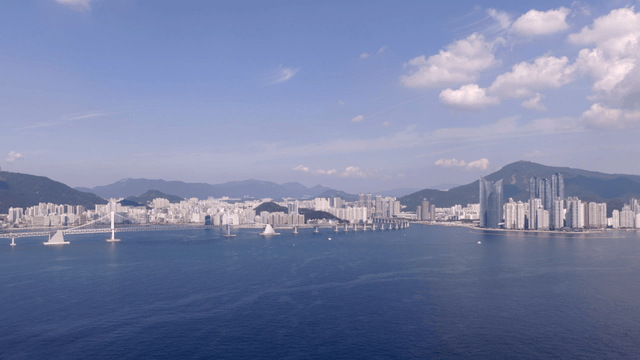 Coastal city with a bridge and skyscrapers