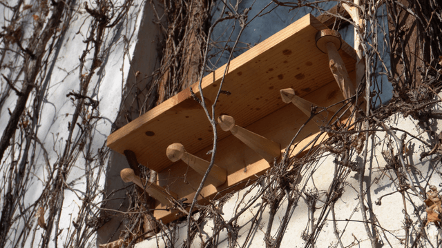 Wooden shelf beneath a window on a wall covered with dry vines