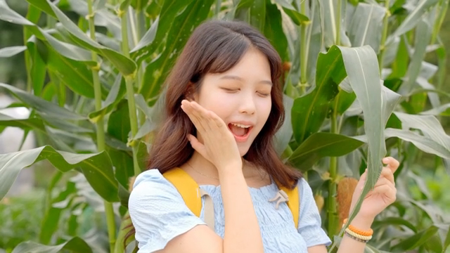 옥수수밭에서 즐거워하는 젊은 여성