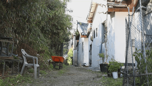 Country alleys and old houses next to quiet grassy fields