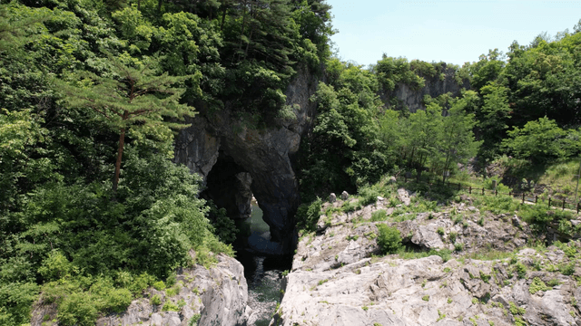 Valley stream flowing through cave beneath green forest