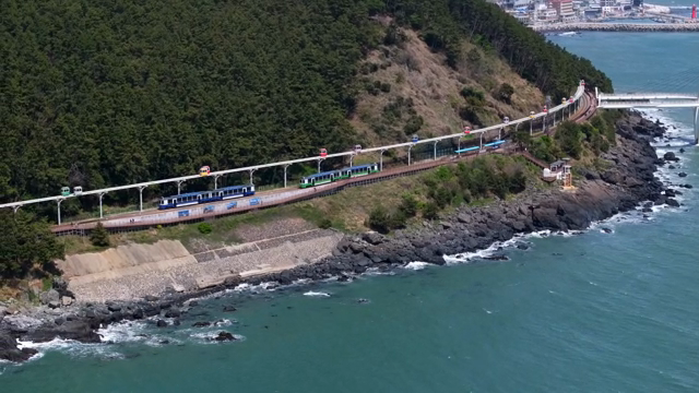 Coastal monorail passing through lush forest