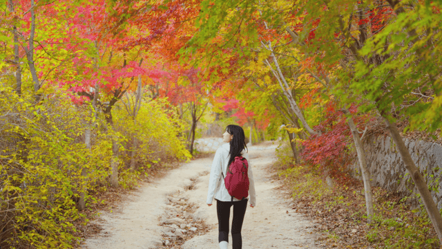 Young woman walking through autumn foliage path