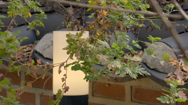 Lamp hanging with green leaves in front of tiled wall