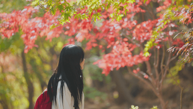 Young woman hiking up autumn slope with sunlight