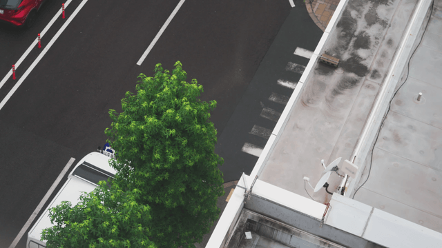 Aerial view of a city street with trees