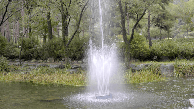 Fountain in a tranquil forest setting