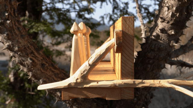 Handcrafted wooden shelf on thorny branches