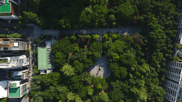 Aerial view of a city with green spaces
