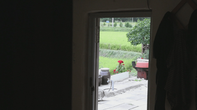View of a farm through an open door