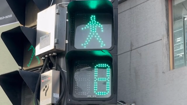 Pedestrian traffic light countdown
