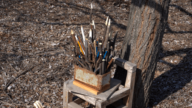 Wooden pencil carving displayed against forest background
