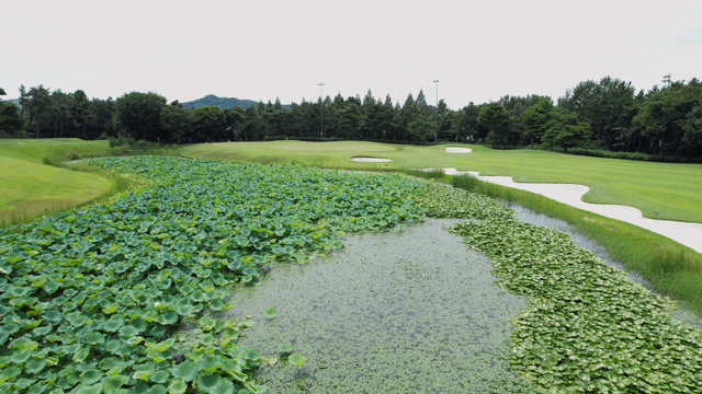 Golf course with a pond and greenery