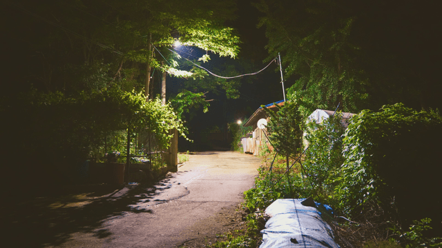 A quiet country street at night with streetlights
