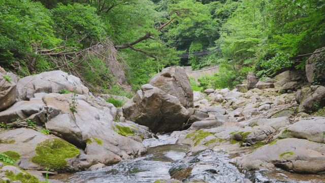Calm stream flowing between large rocks