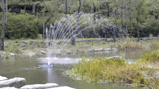 Fountain spraying arcs over quiet pond