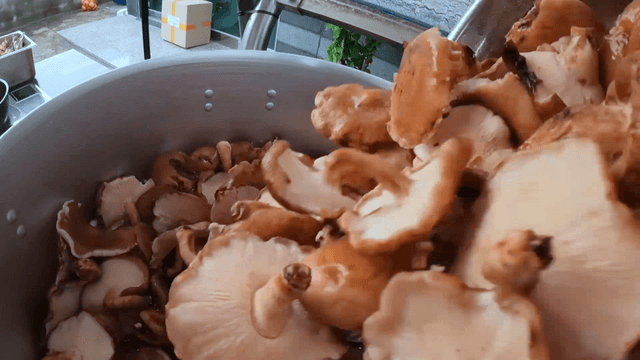 Mushrooms being added to a large pot
