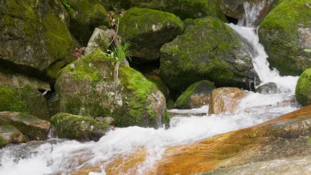A small waterfall flowing over mossy rocks