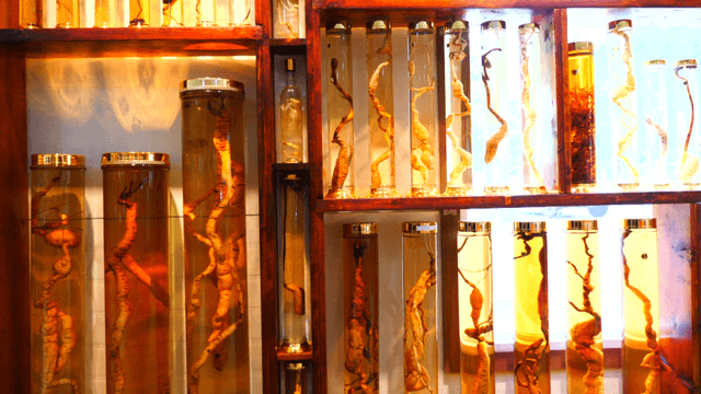 Displayed Old Infusion Liquors